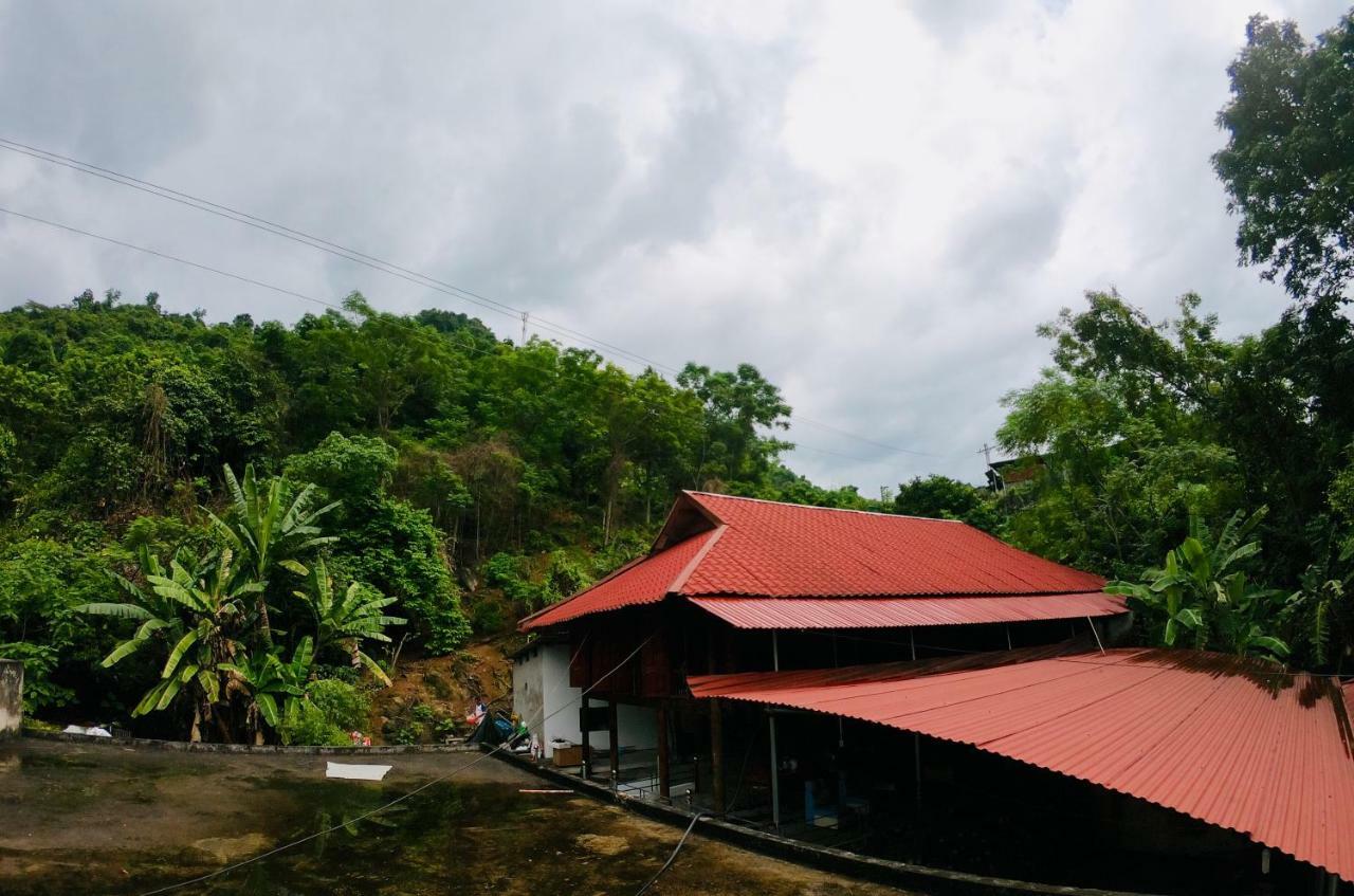 Shan Tea Homestay Ha Giang Eksteriør bilde
