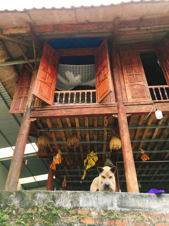 Shan Tea Homestay Ha Giang Eksteriør bilde